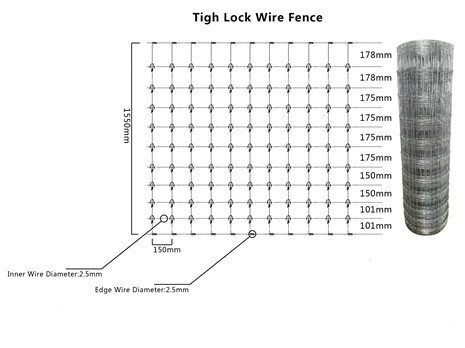 1.55m Height Galvanized 15cm Vertical Wire Distance 100m long fixed knot field  fence