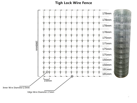1.55m Height Galvanized 15cm Vertical Wire Distance 100m long fixed knot field  fence