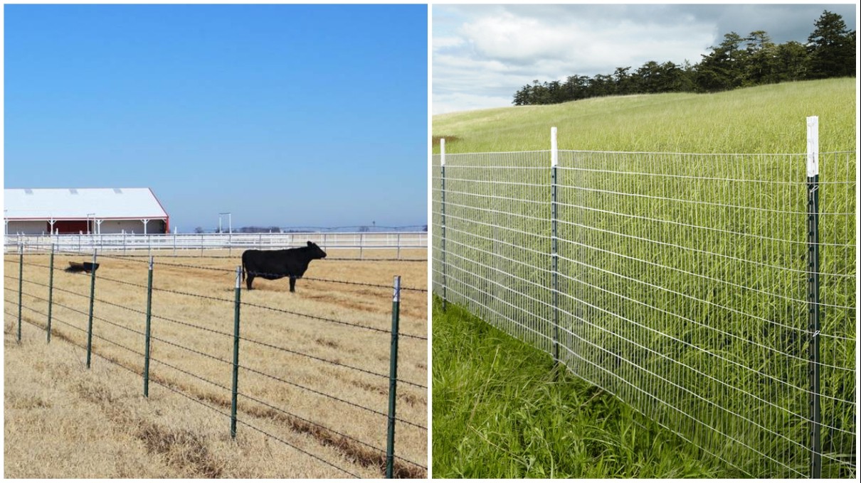 1.33 lb/ft 6 Feet Q 235 Rail Steel Green Color Studded T Fence Post For