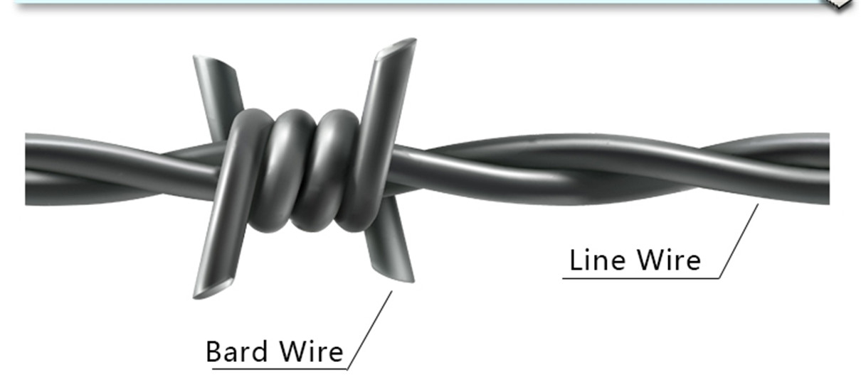 Razor blade sharp barbed wire hot dipped galvanized barbed wire