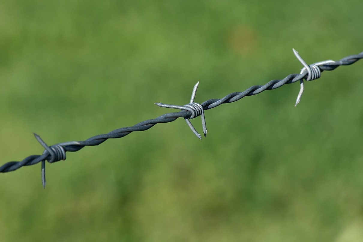 Wholesale galvanized barbed wire / barb wire fence / Galvanized metal Protect Barbed wire