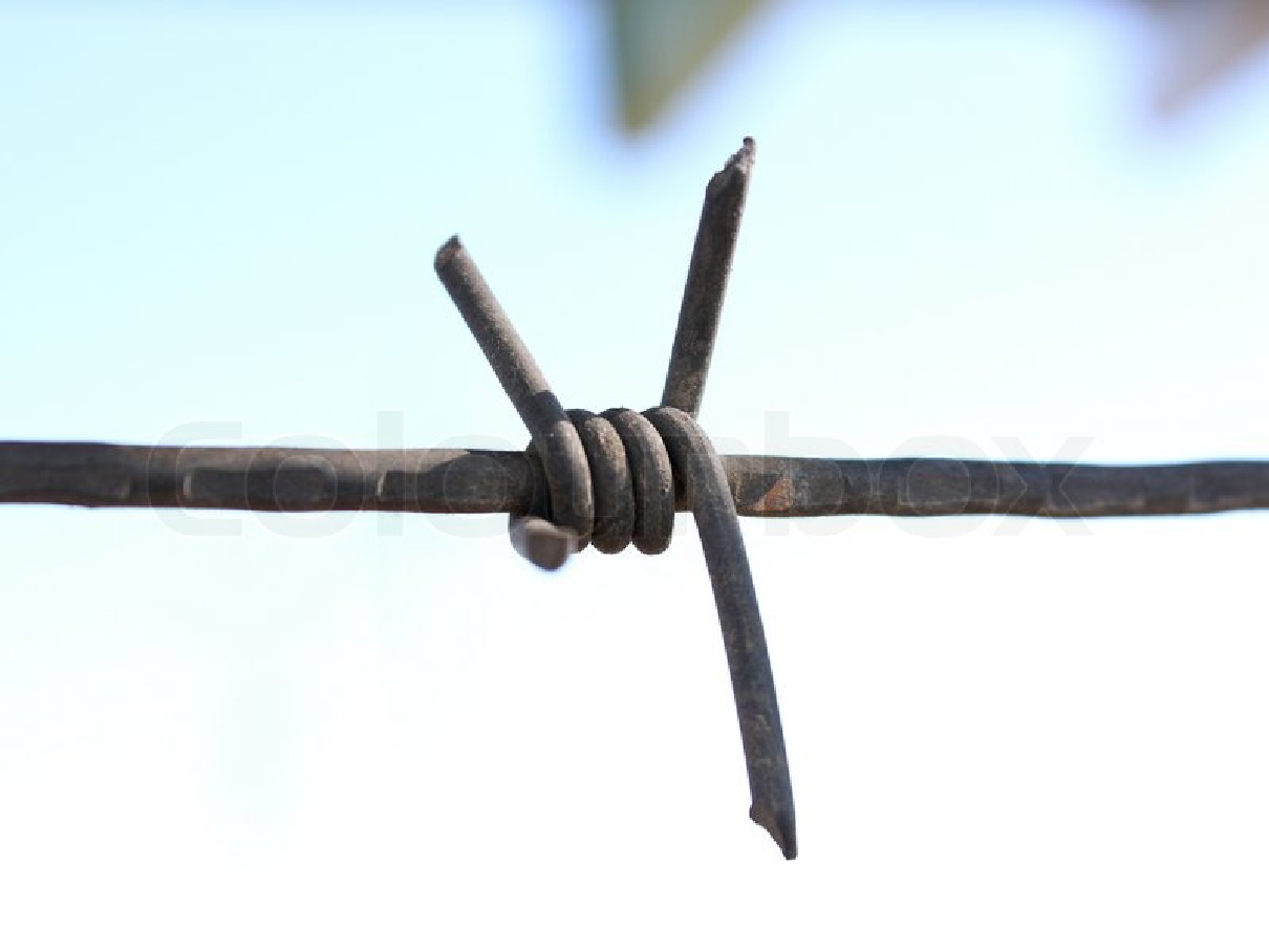 Wholesale galvanized barbed wire / barb wire fence / Galvanized metal Protect Barbed wire