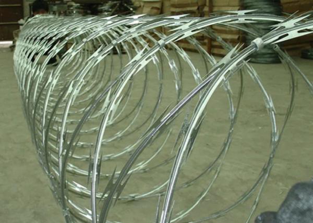 CBT-65 Security Protected Razor Barbed Wire for Fence