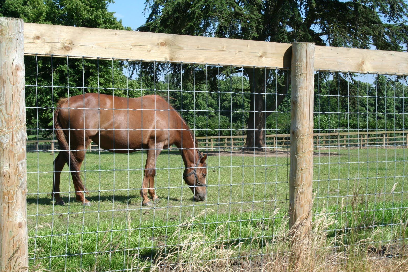 60 in. X 100 FT S Knot Non-Climb Horse Fence