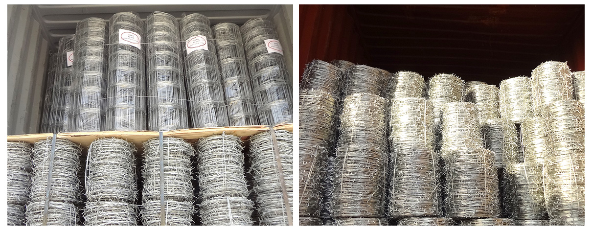 Razorblade sharp barbed wire hot-dipped galvanized 100m long barb wire