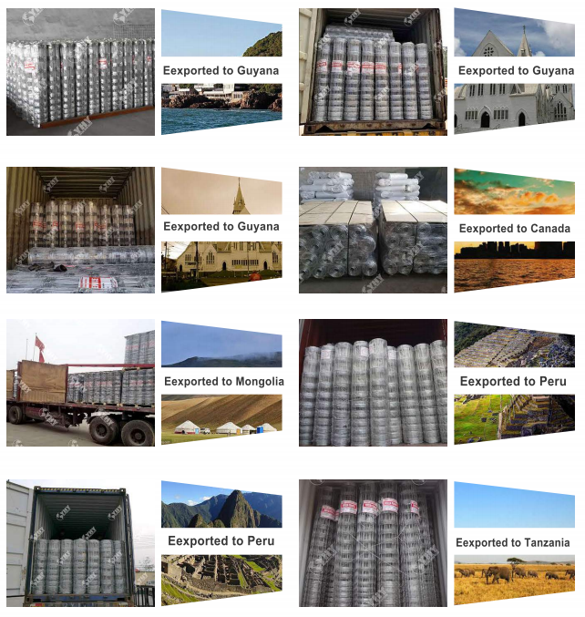 Best Price 6ft Hot Dipped Galvanized Deer Fence/Hinge Joint Fence for Farm Use