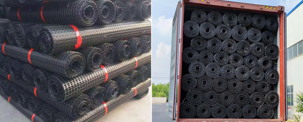 Geogrid