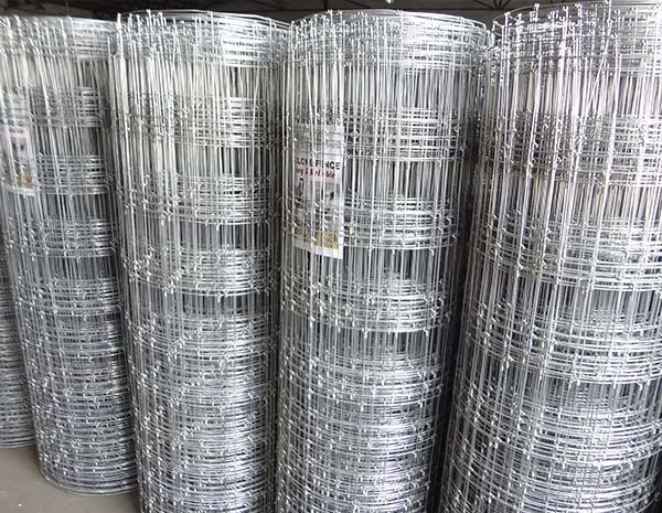 3feet Height Galvanized 20cm  Vertical Wire Distance 100m long Field Fence