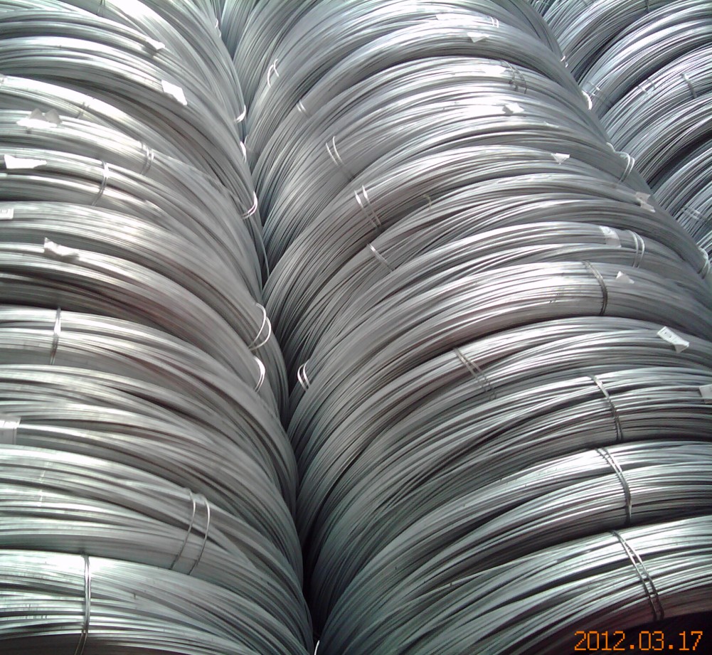1kg-800kgs/coil Electro Galvanized Wire