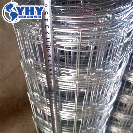 0.9m Height Galvanized 50mm Vertical Wire Distance 100m long hinge joint fence 