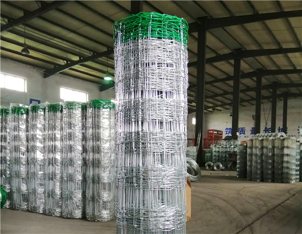 2.0m Height Galvanized 15cm Vertical Wire Distance 100m Long Green color PVC hinge  joint fence 