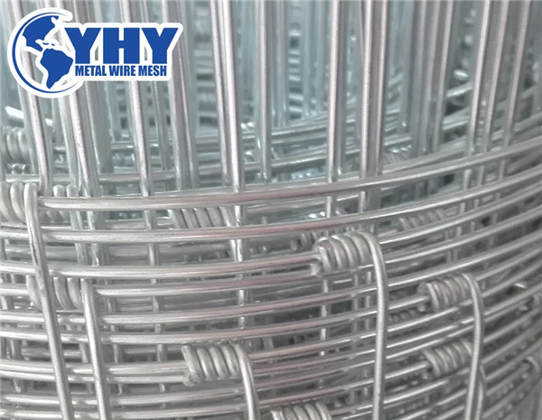 1.55m Height Galvanized 150mm Vertical Wire Distance 150m long galvanized hinge joint cattle fence