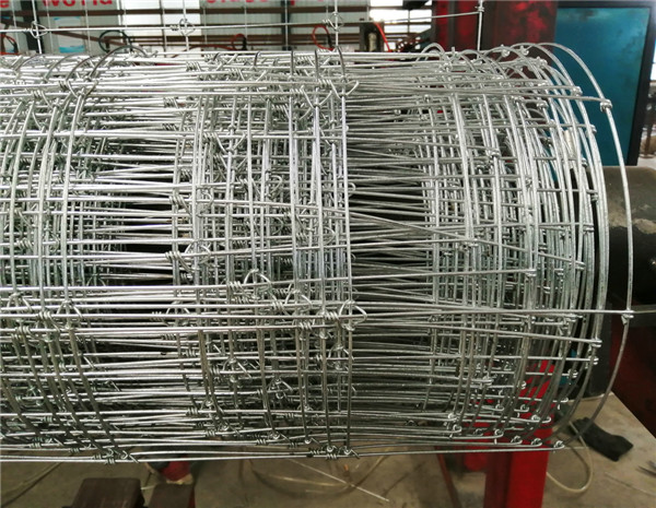 1.55m Height Galvanized 20cm Vertical Wire Distance 100m long fixed knot cattle fence