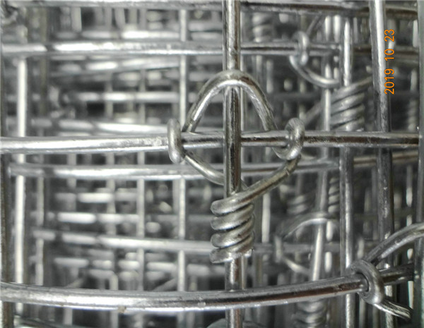 1.55m Height Galvanized 20cm Vertical Wire Distance 100m long fixed knot cattle fence