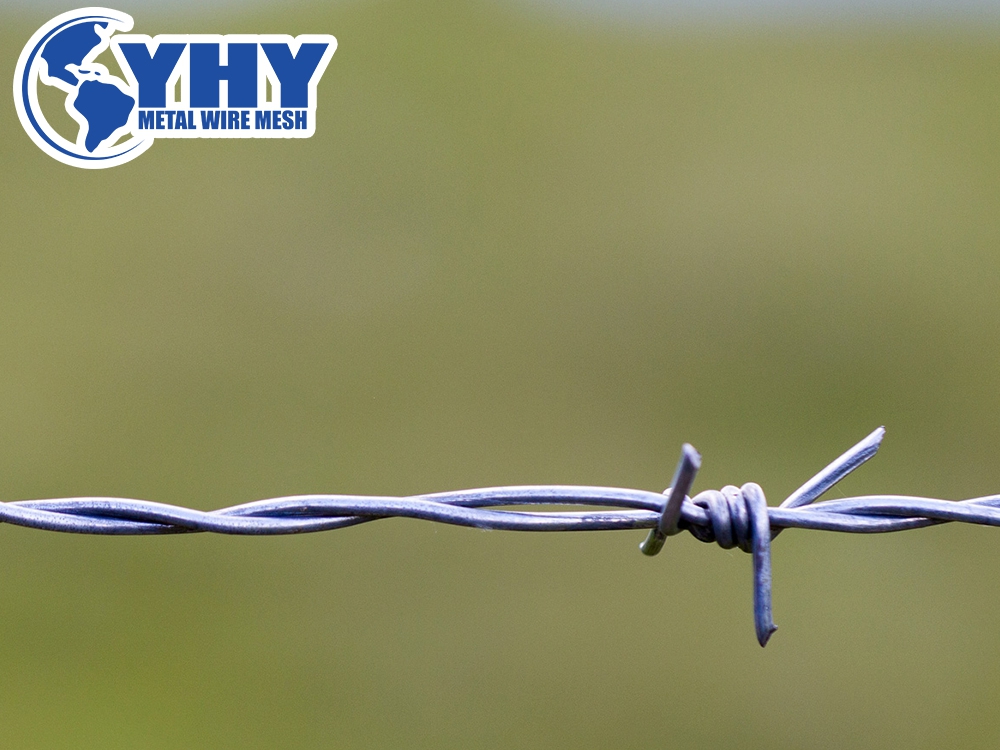 Razorblade sharp barbed wire hot-dipped galvanized 100m long barb wire 
