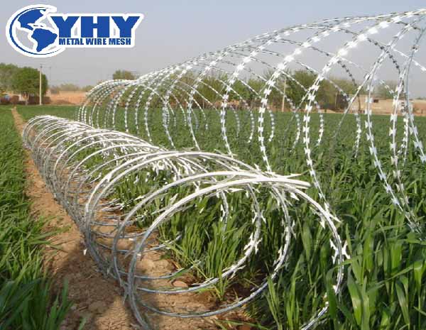 high security protection razor wire barbed wire