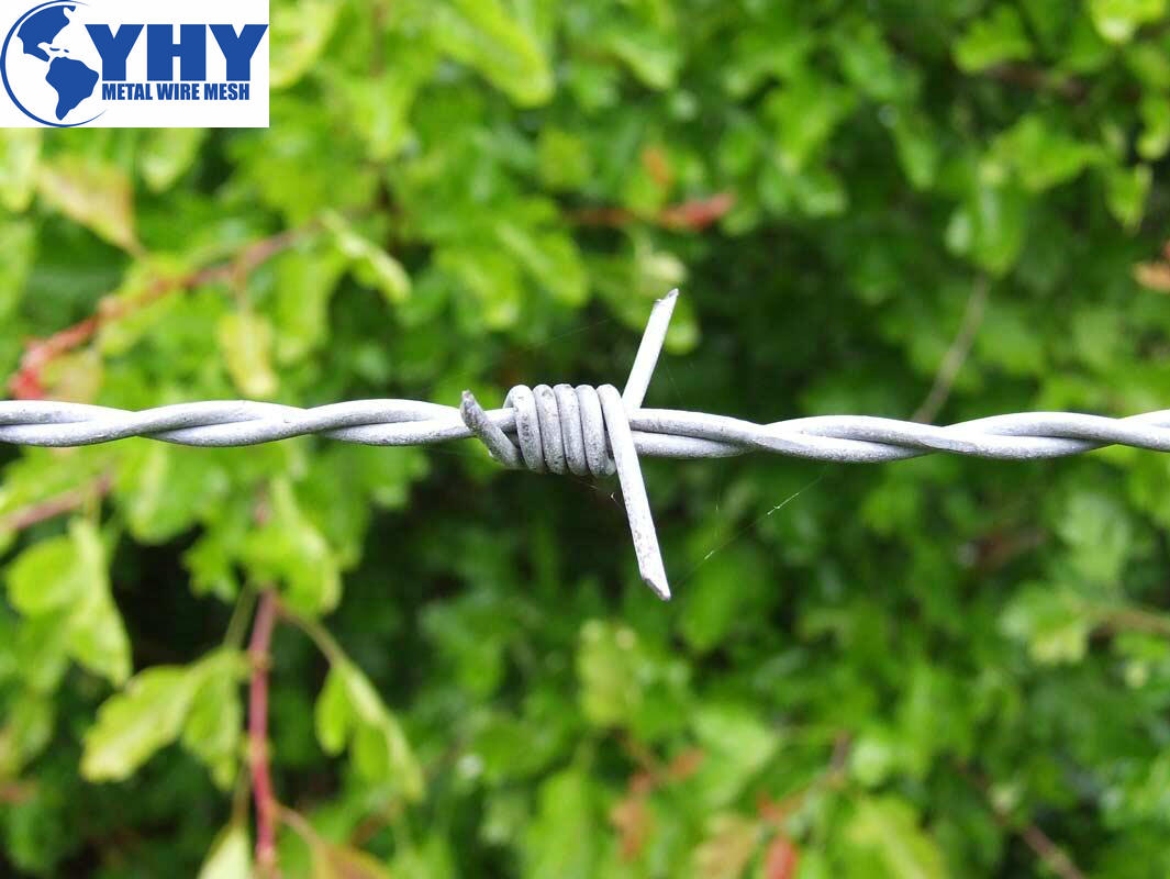 Tandard Hot Galvanized Barbed Wire Roll Prices for Military