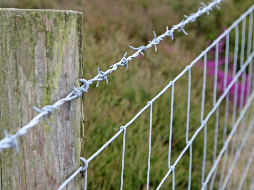 Wholesale galvanized barbed wire / barb wire fence / Galvanized metal Protect Barbed wire 