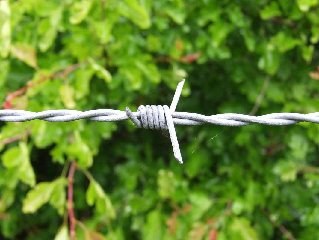 Wholesale galvanized barbed wire / barb wire fence / Galvanized metal Protect Barbed wire 