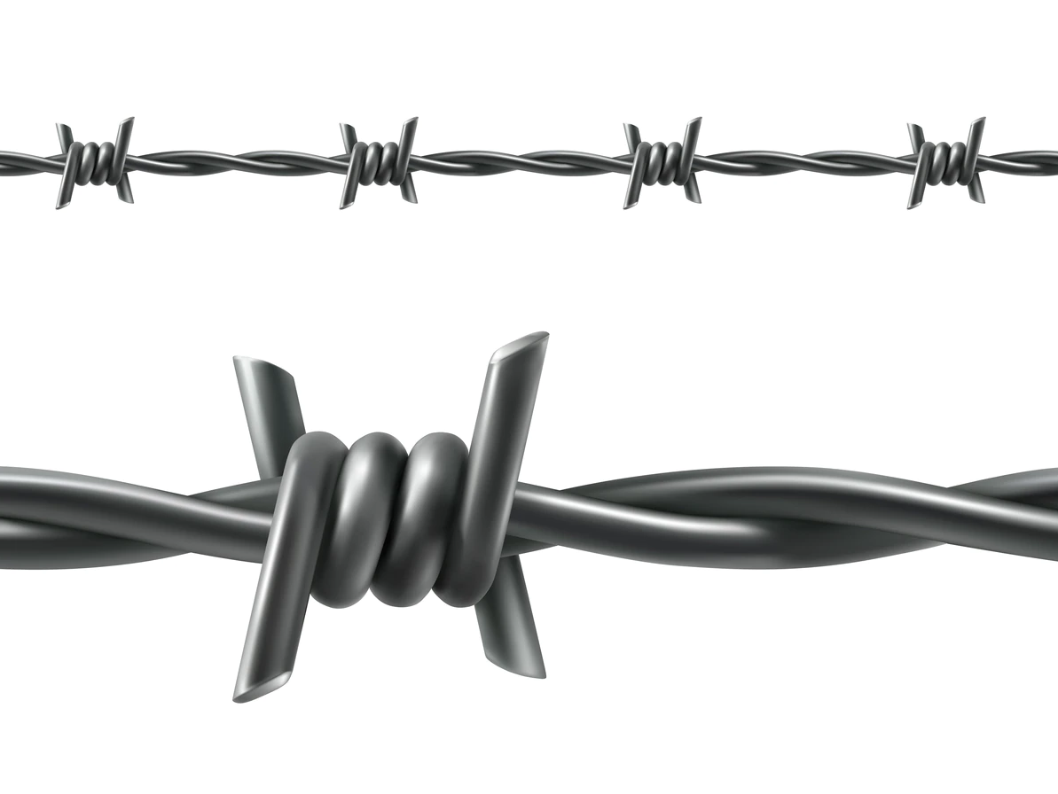 Wholesale galvanized barbed wire / barb wire fence / Galvanized metal Protect Barbed wire 