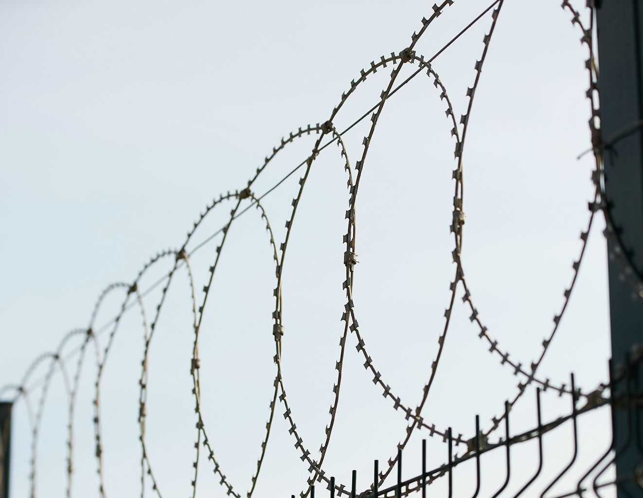 Flat wrap razor barbed wire concertina razor barbed wire 