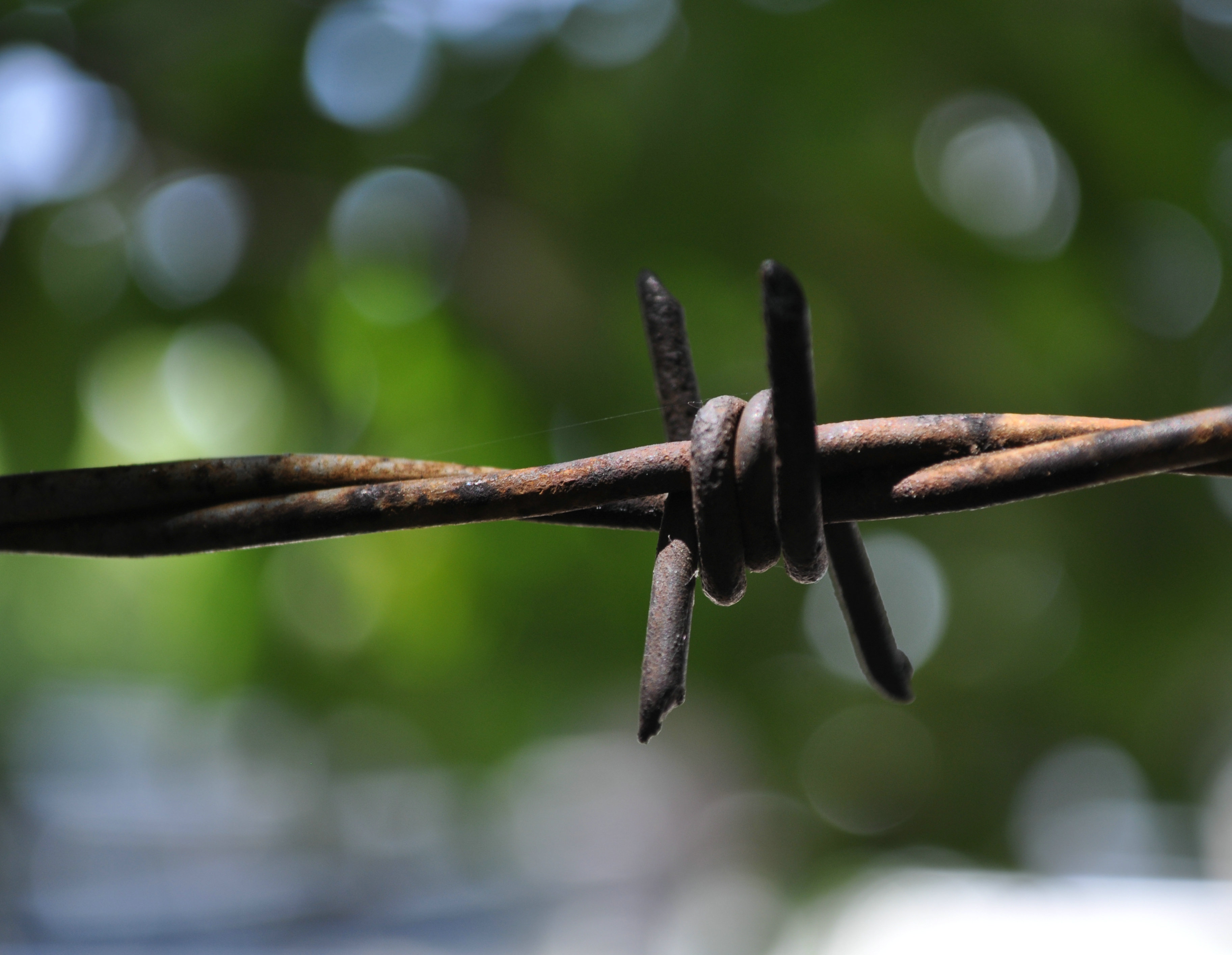 Common twist  barbed wire hot dipped galvanized barbed wire