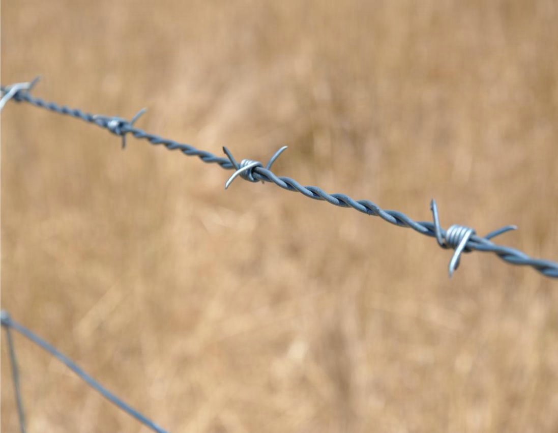 Reverse twist barbed wire 15cm barb wire distance barb wire for security