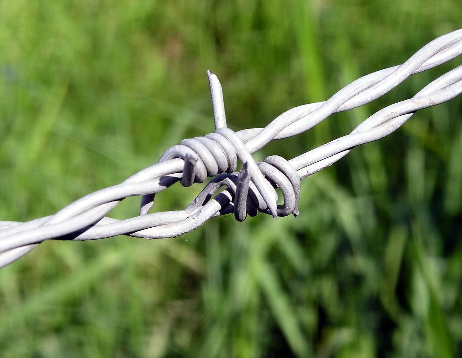 Reverse twist barbed wire 15cm barb wire distance barb wire for security