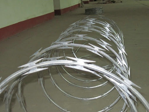 CBT-65 Security Protected Razor Barbed Wire for Fence