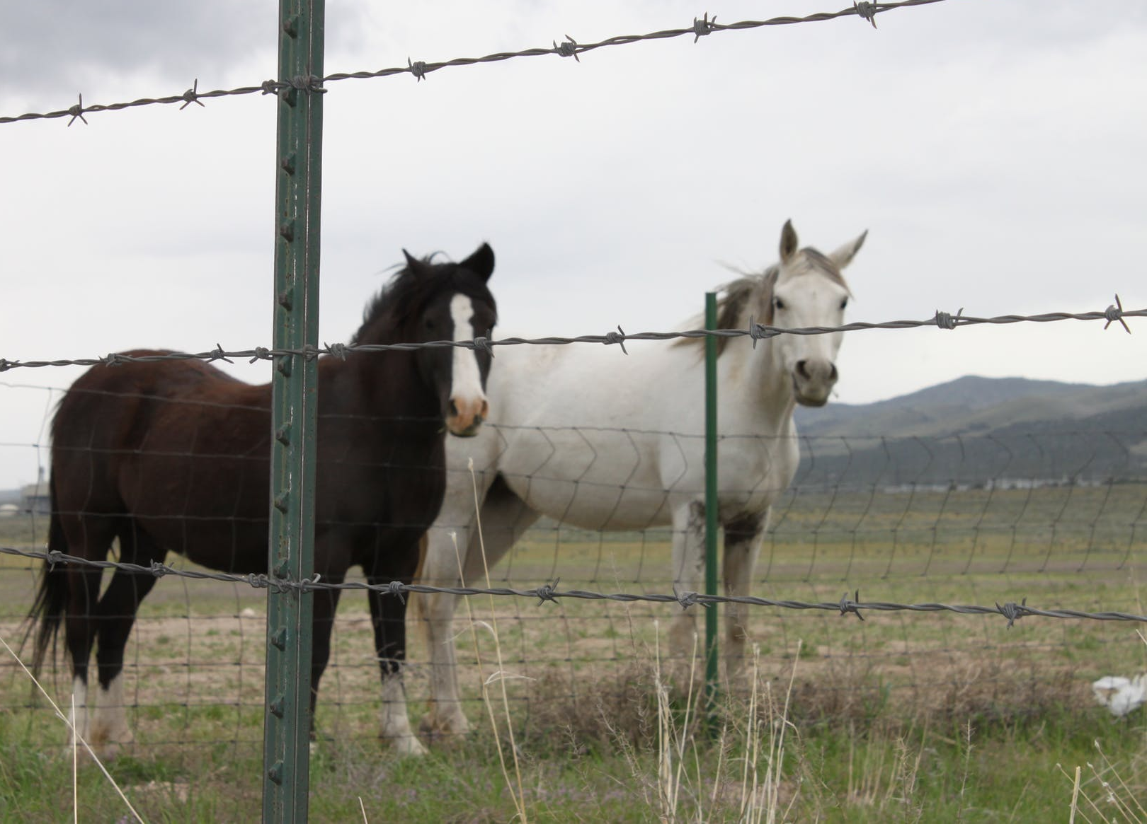 What fence is best suitable for an agricultural farm?