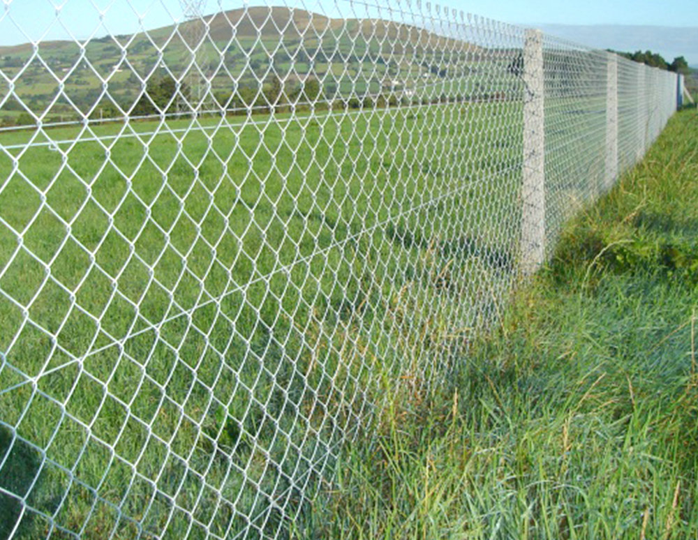 What are the reasons for the corrosion of the chain link fences?