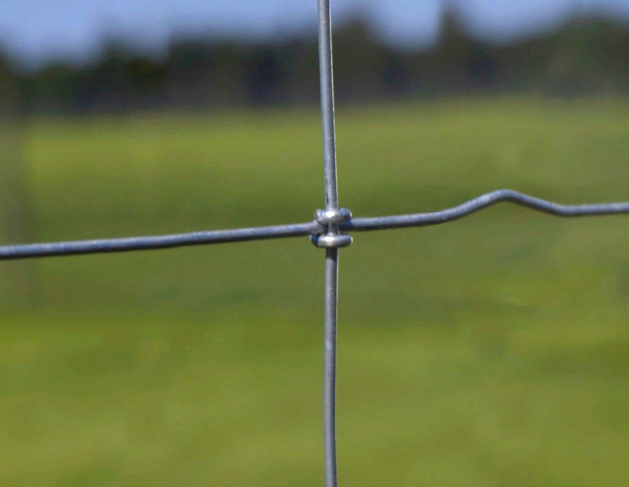 Non-climb square deal knot field fence for animals protection