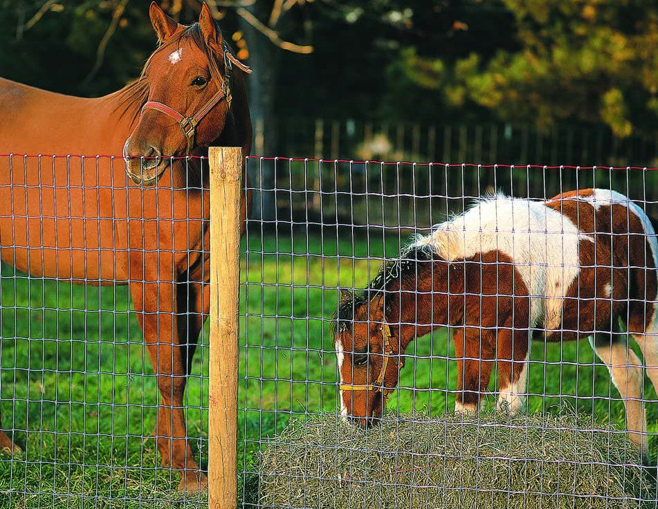 Non-climb square deal knot field fence for animals protection