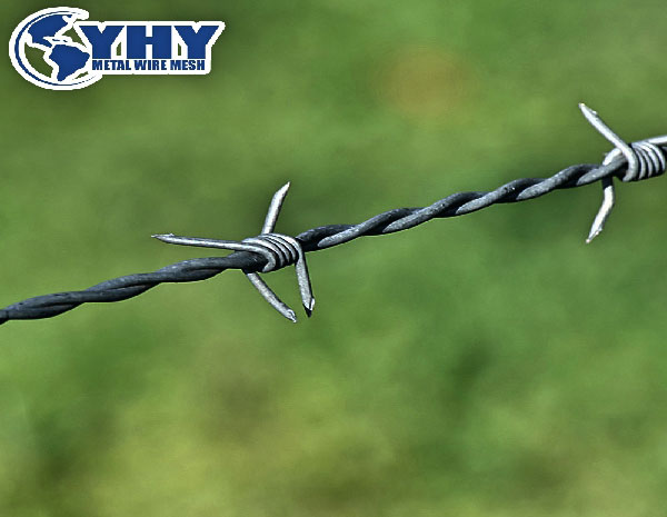 ISO9001 Certificated Real Factory Galvanized Barbed Wire