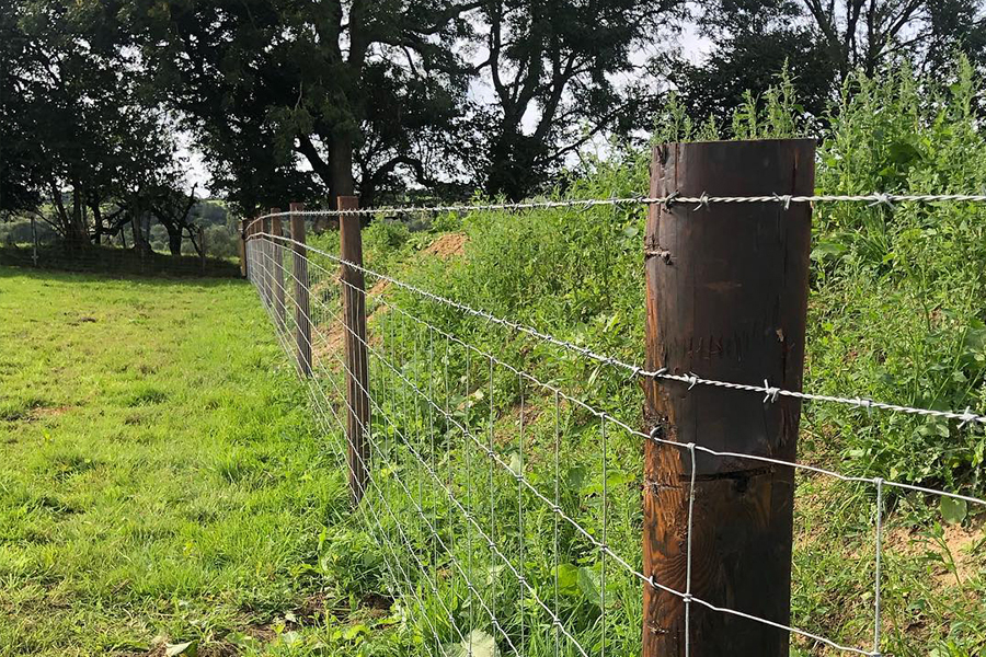 barbed wire on top of farm fence 