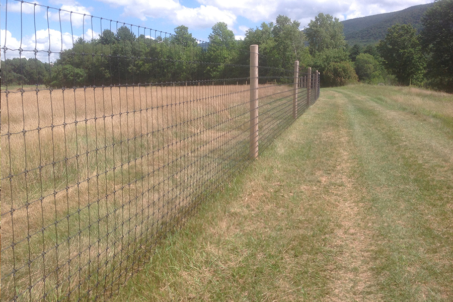 Fixed knot fence for field