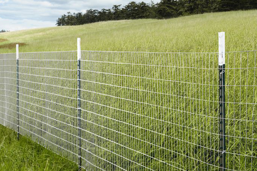T post for field fencing