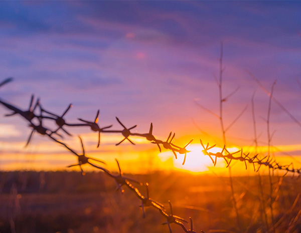 There are three ways to judge the quality of a barbed wire