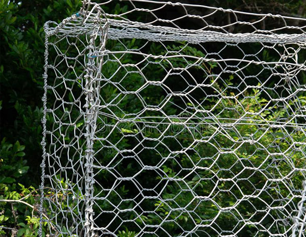 What are the salient features of the hexagonal gabion net protection plan?