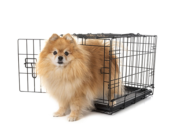 Pet Cage