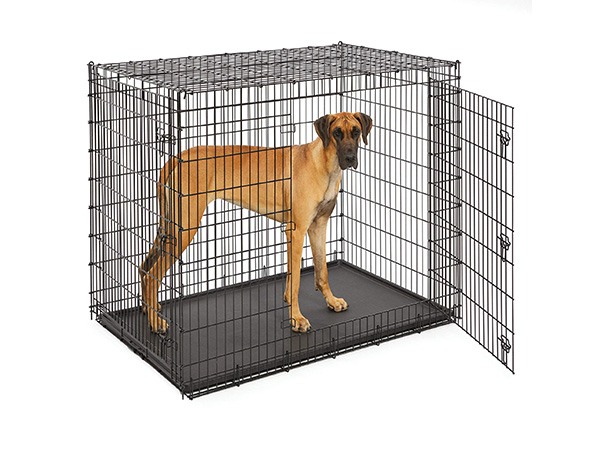 Pet Cage