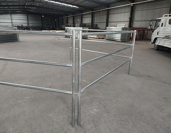 Pipe Horse Fence