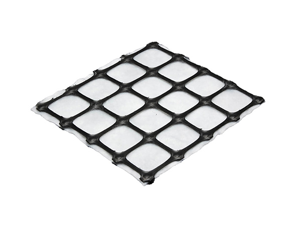 Geogrid 