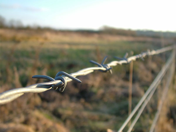 Causes of rust on barbed wire and how to prevent it