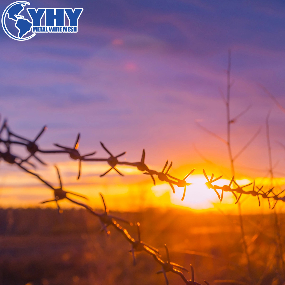Electric Galvanized Barbed Wire for Airport Prison Security Fence